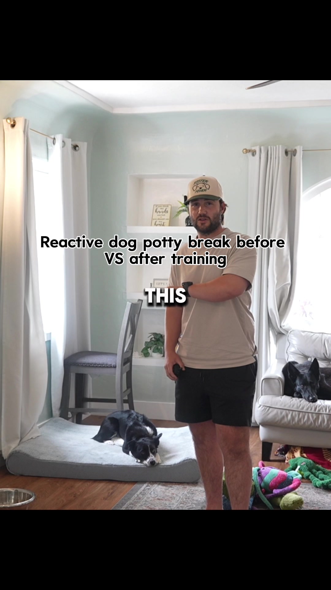 @forthedogs