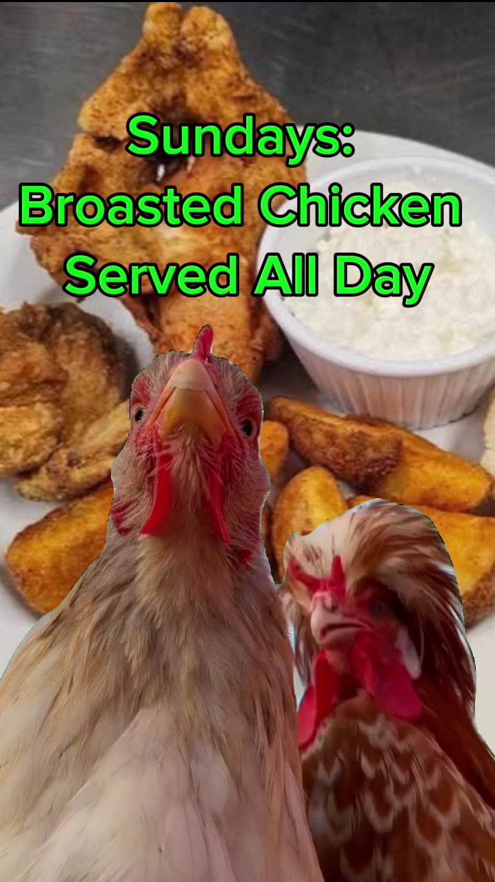 @turtlepondtavern
