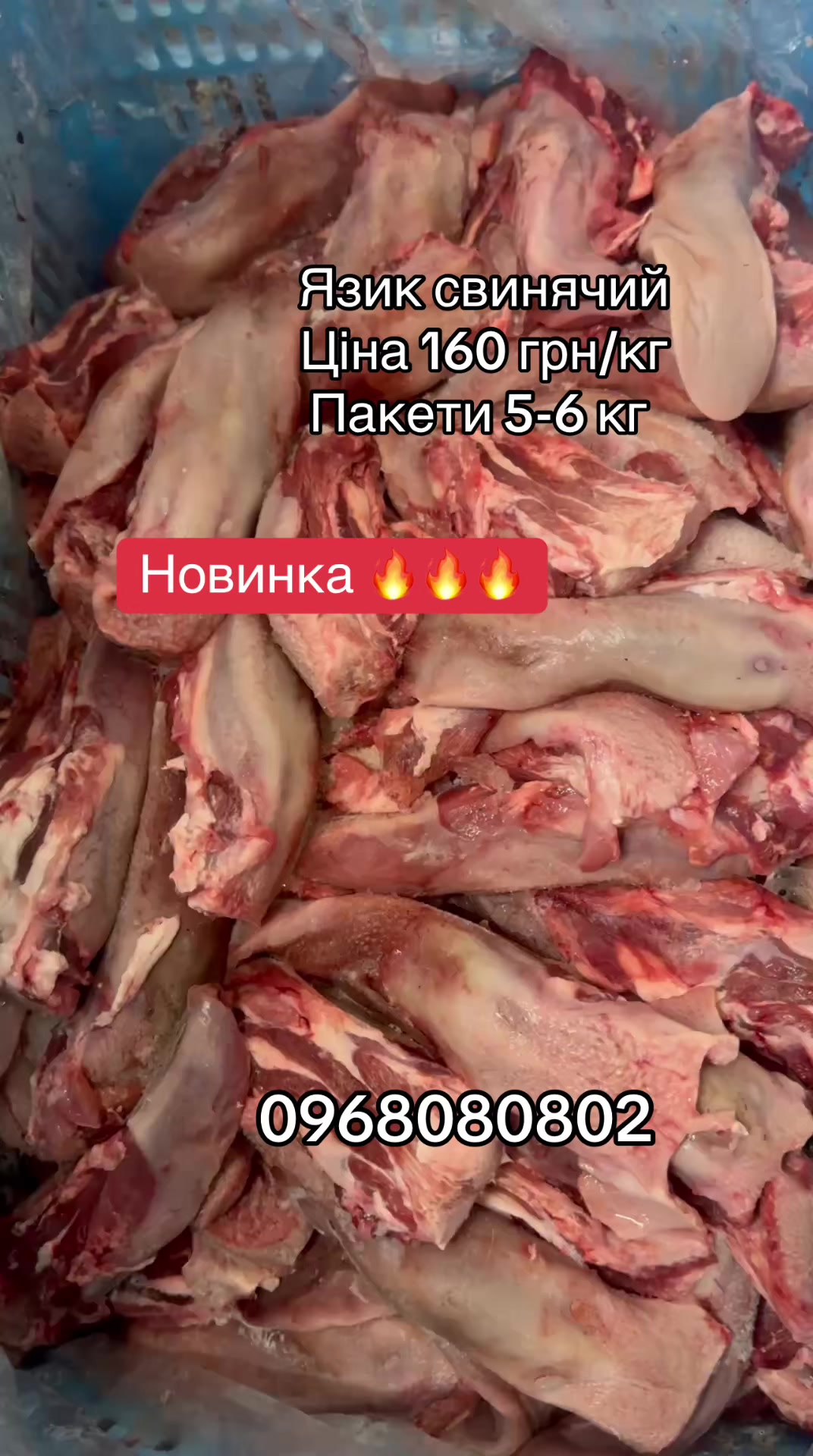 @msmakoluku