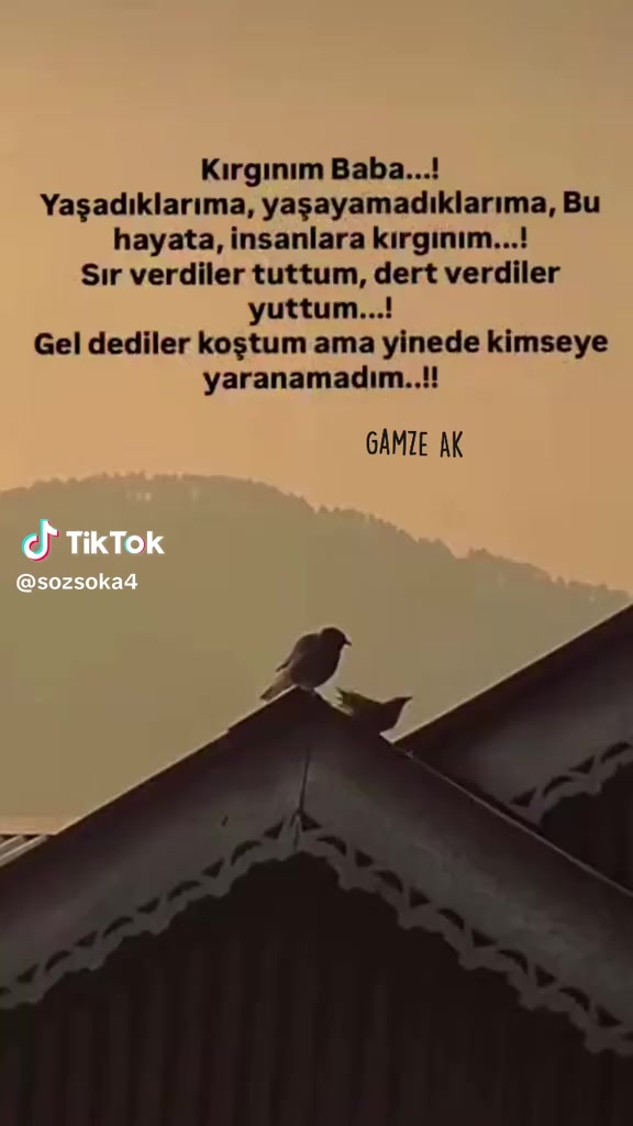 @KIRAL6520