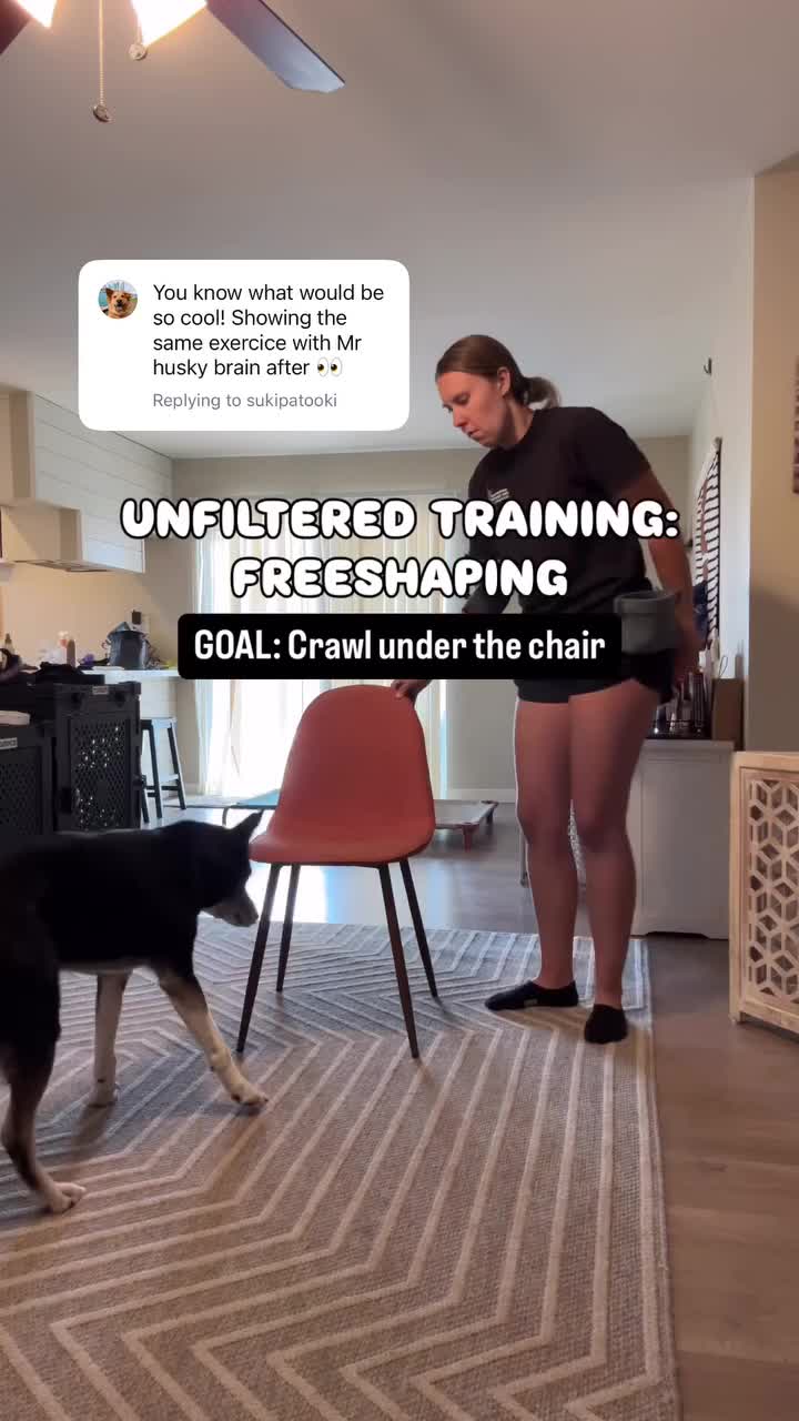 @Marissa | K9 Fitness Coach 🐾