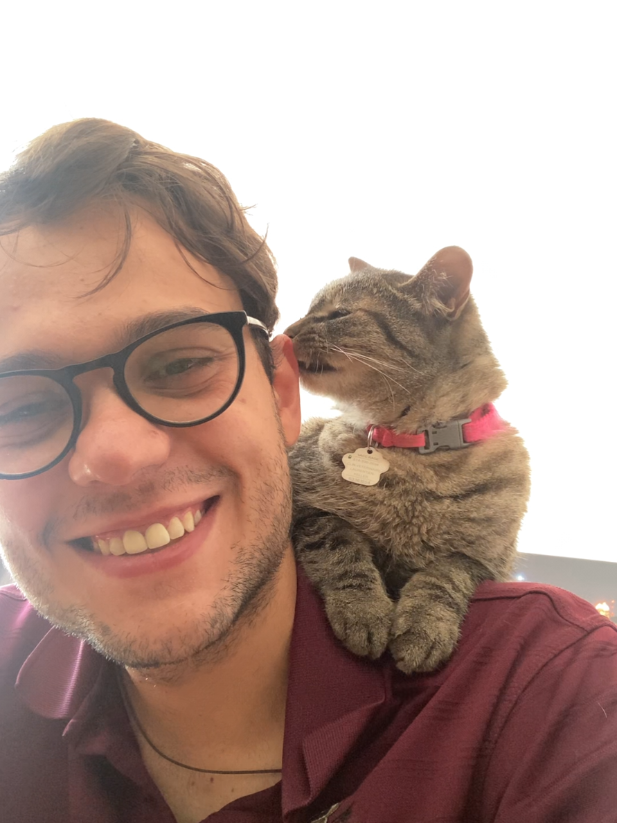 @Bellarda the cat