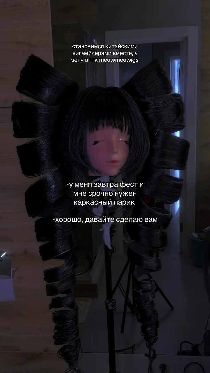 @тгк vivien & meowmulia˚✧₊