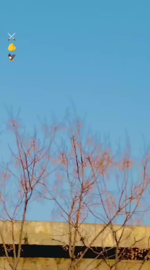 @dobakhan51
