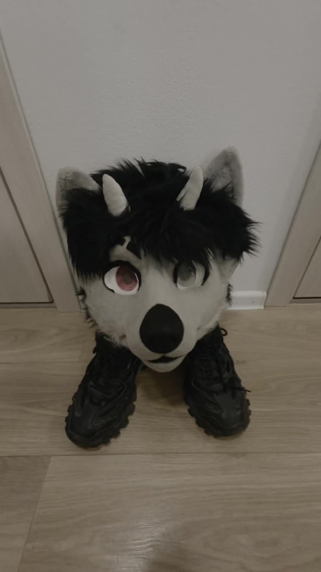 @фыркалко 🐾