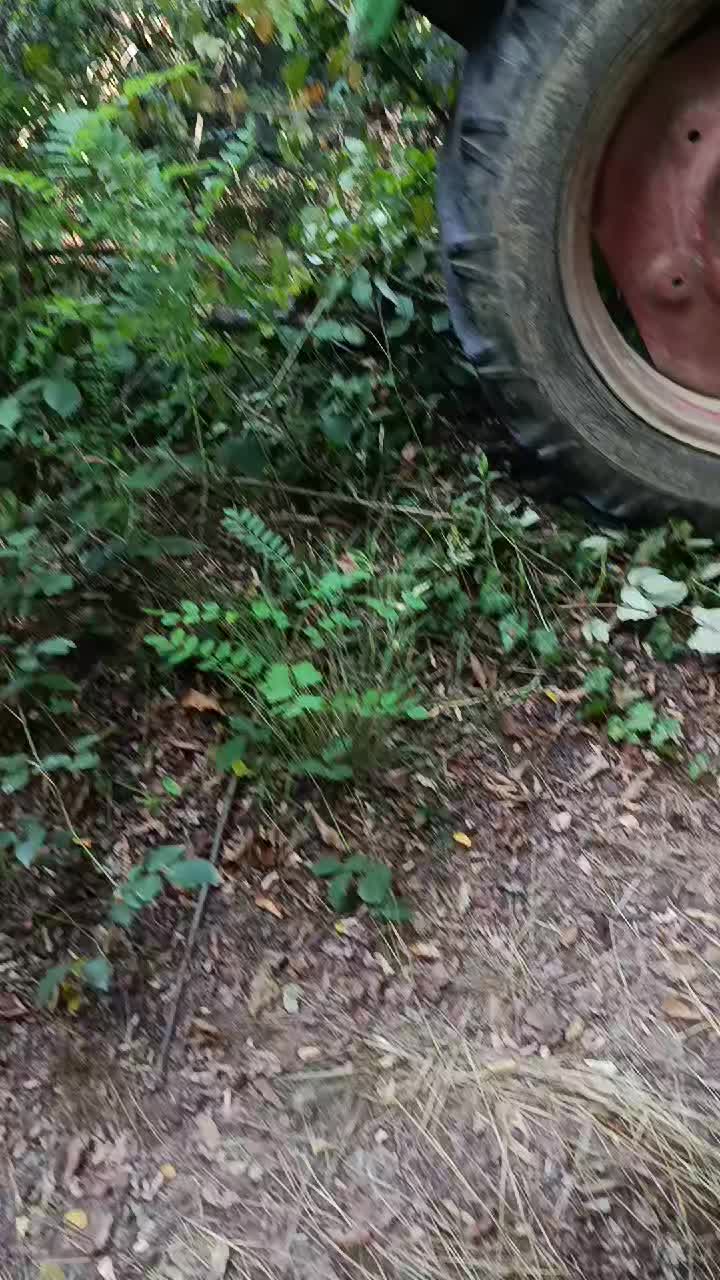 @Mićko😜