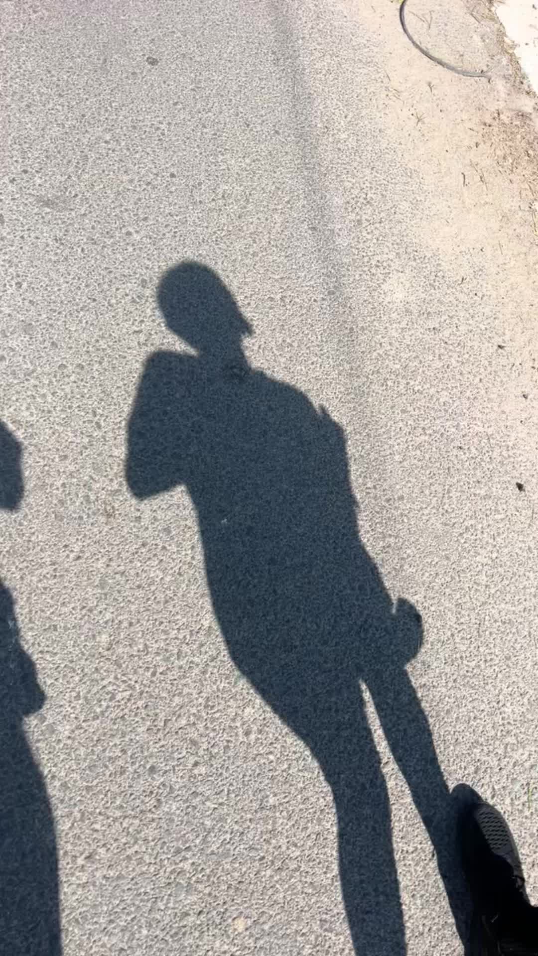 @ElVerde97