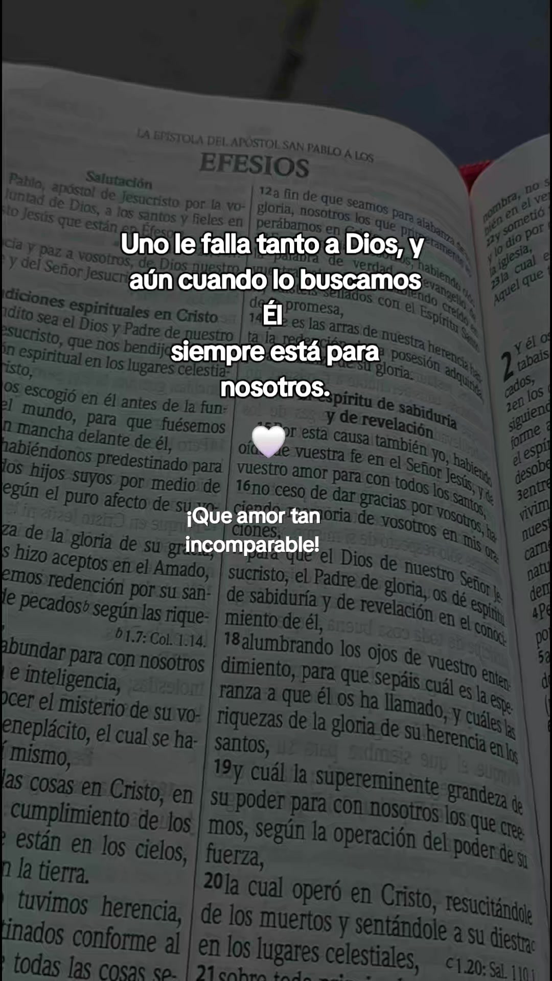 @MarI 🌺