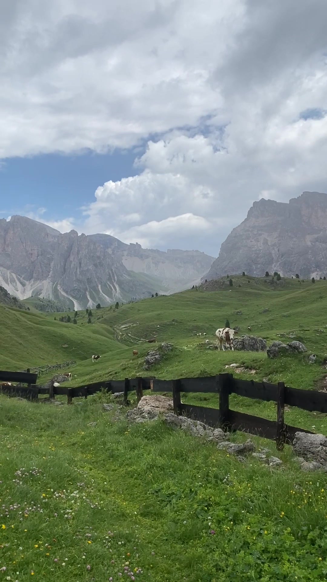 @natur
