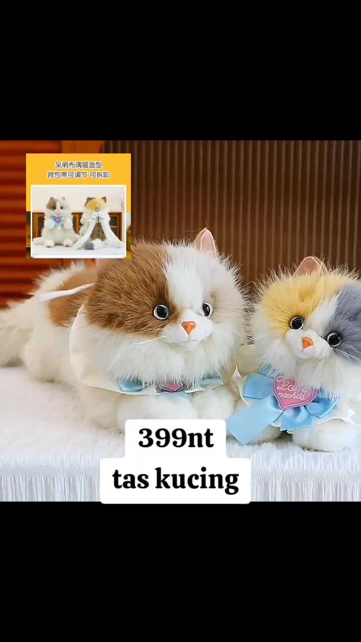 @🇮🇩ayurafitasari🇹🇼