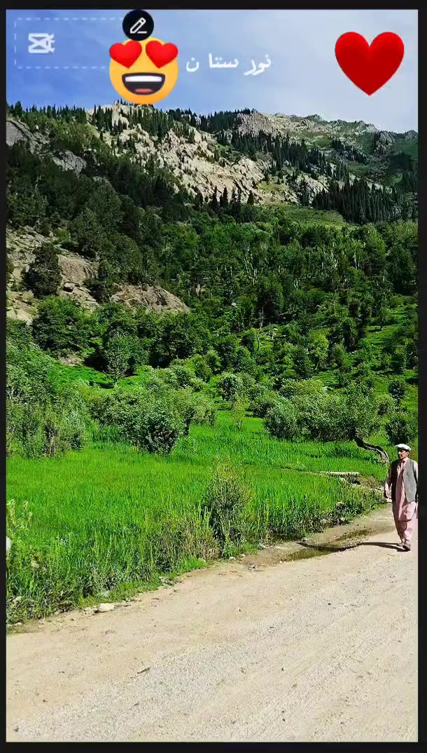 @kingشیرباغ🇦🇫❤️🇯🇵