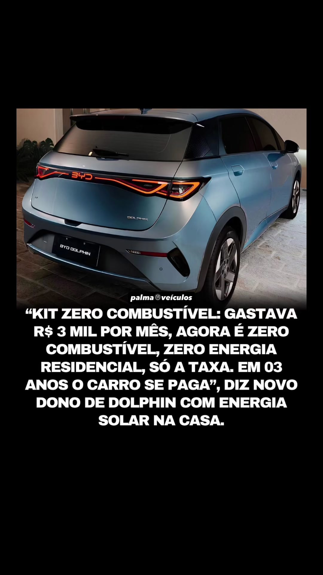 @palmaveiculos
