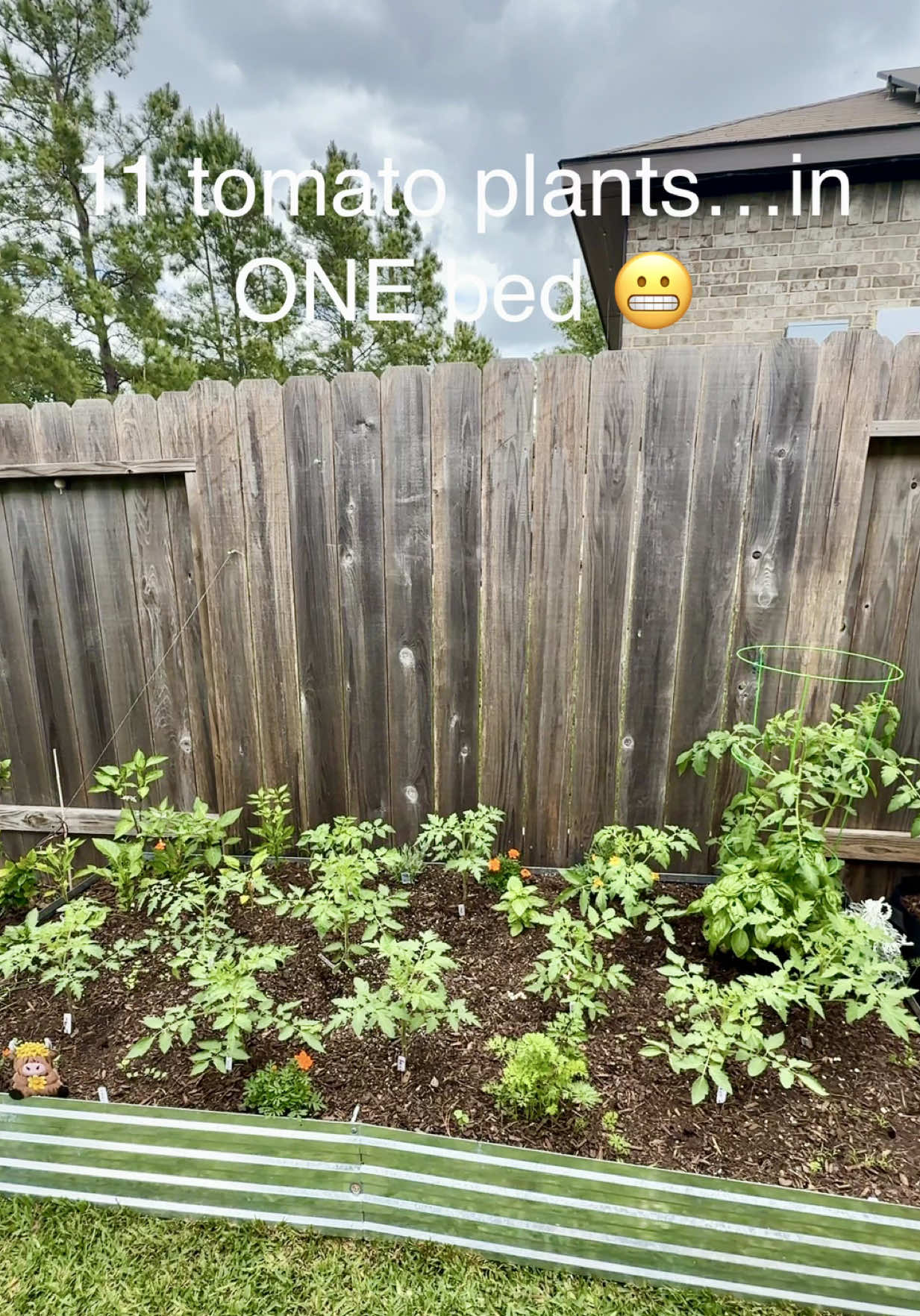 @Sara&rsquo;s Bites 🌱