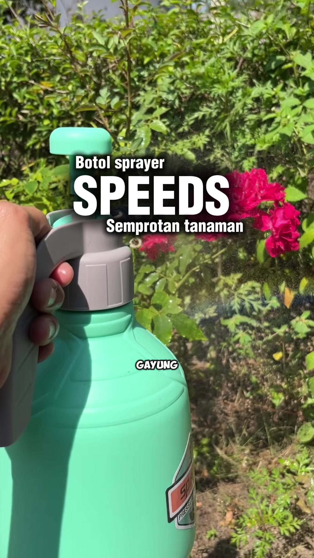 @anompriagung