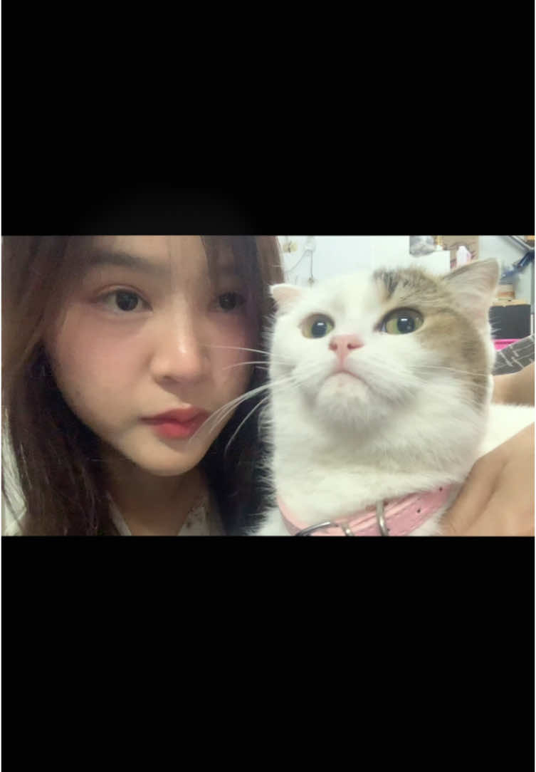 @Mntaom
