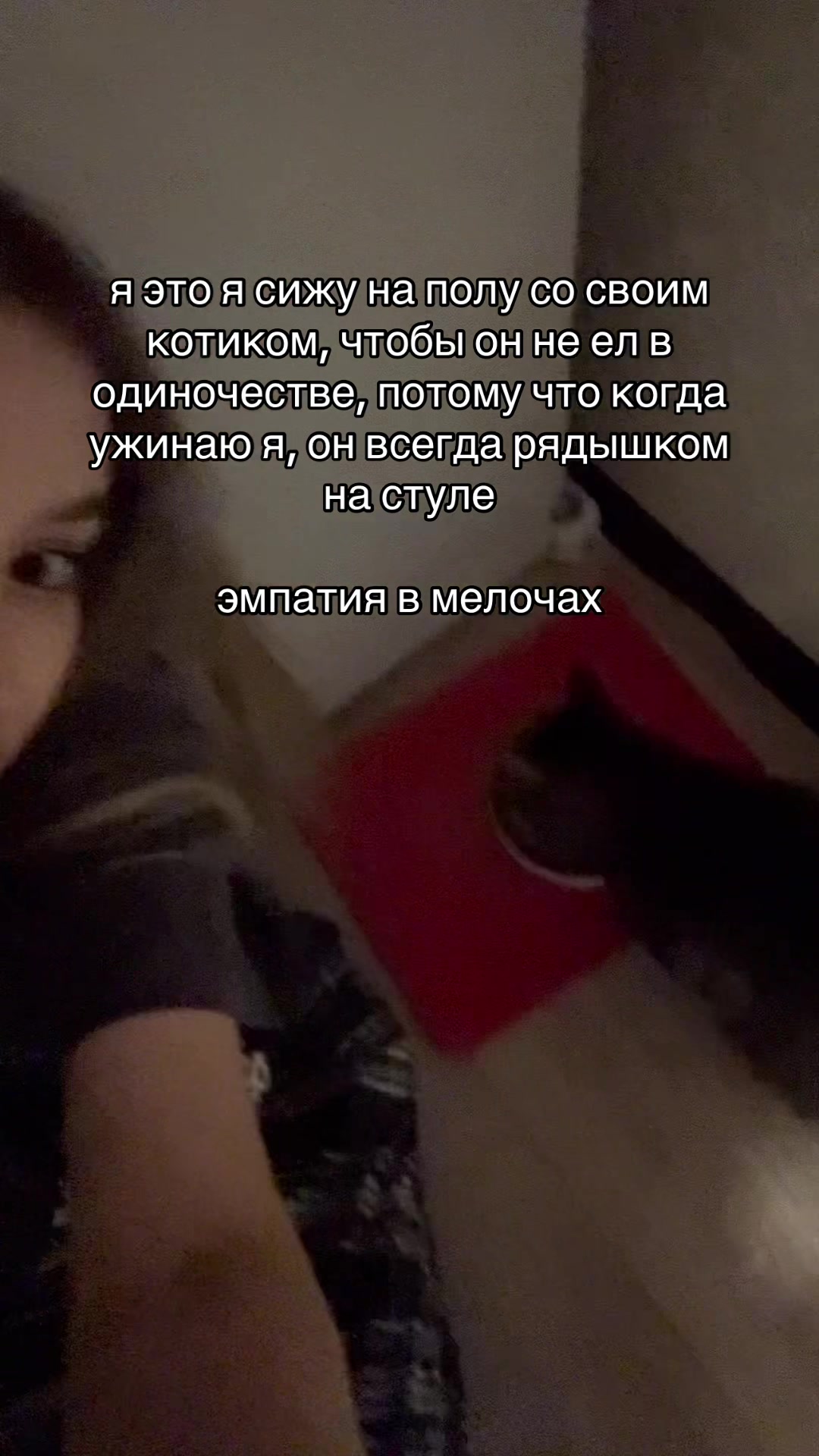 @califorrniias
