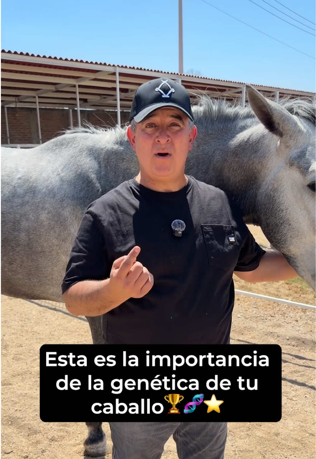 @Agua Zarca, Caballos Españoles