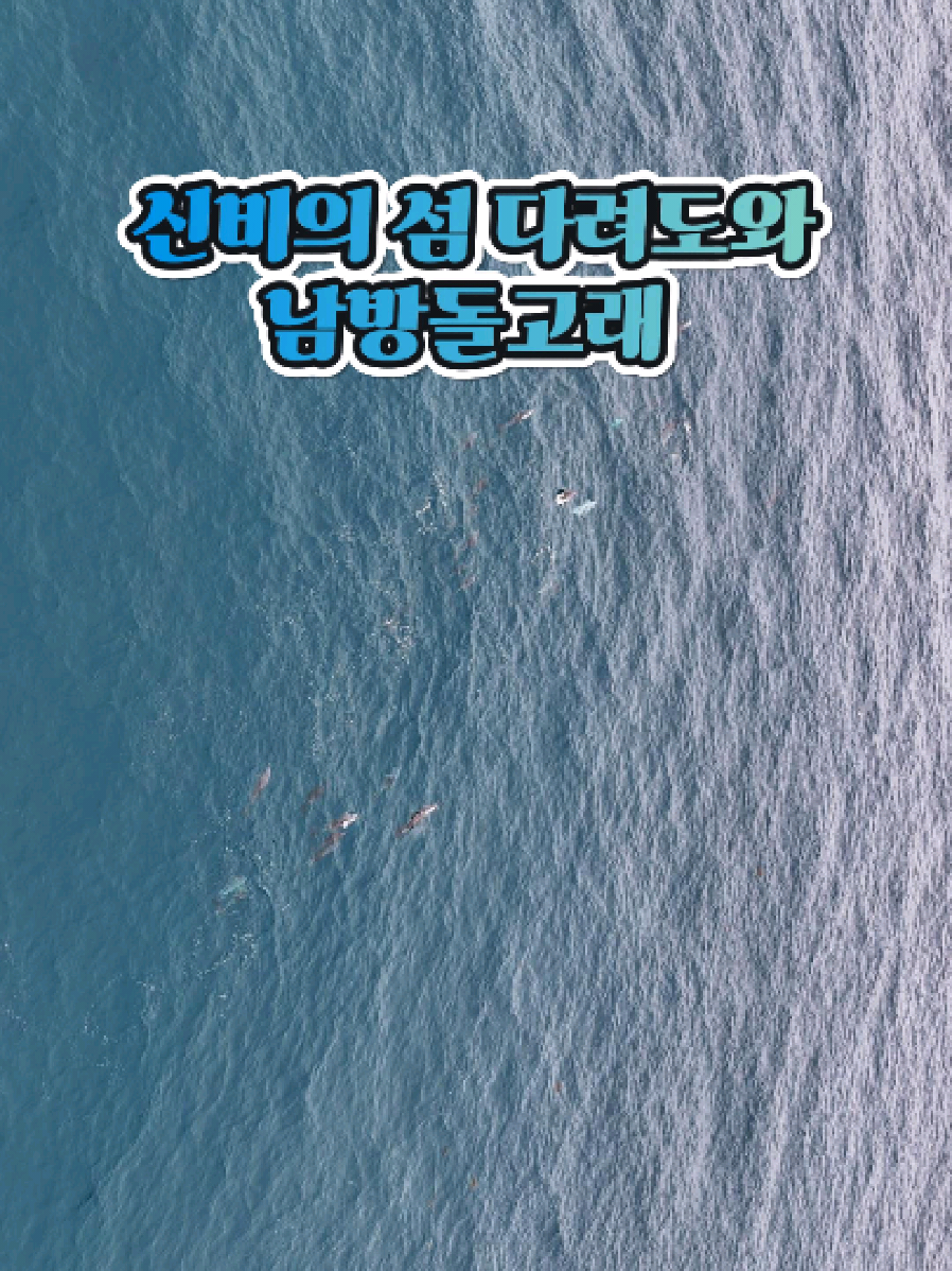 @꾸이 제주맛집