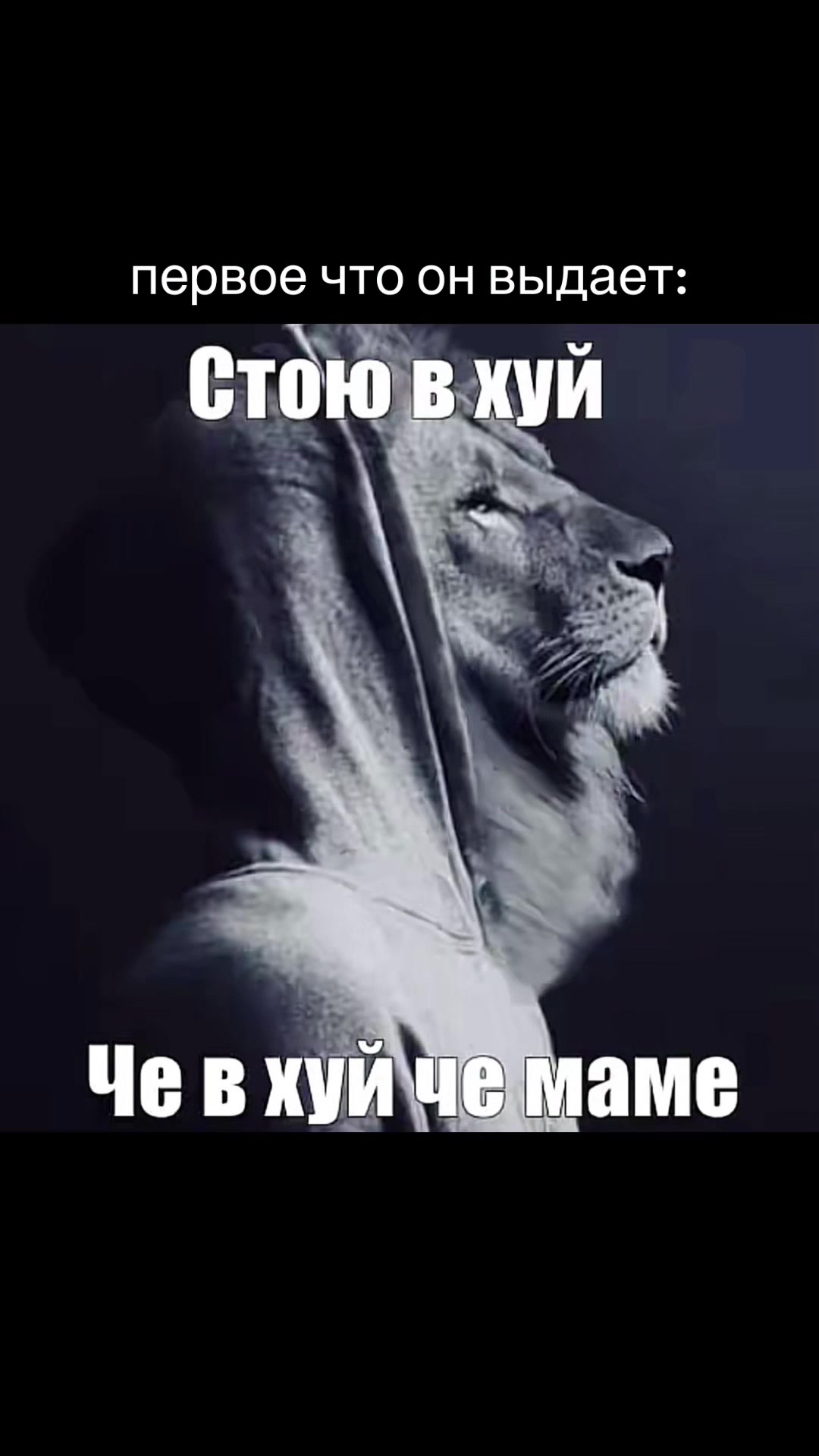 @тгк: сны каору