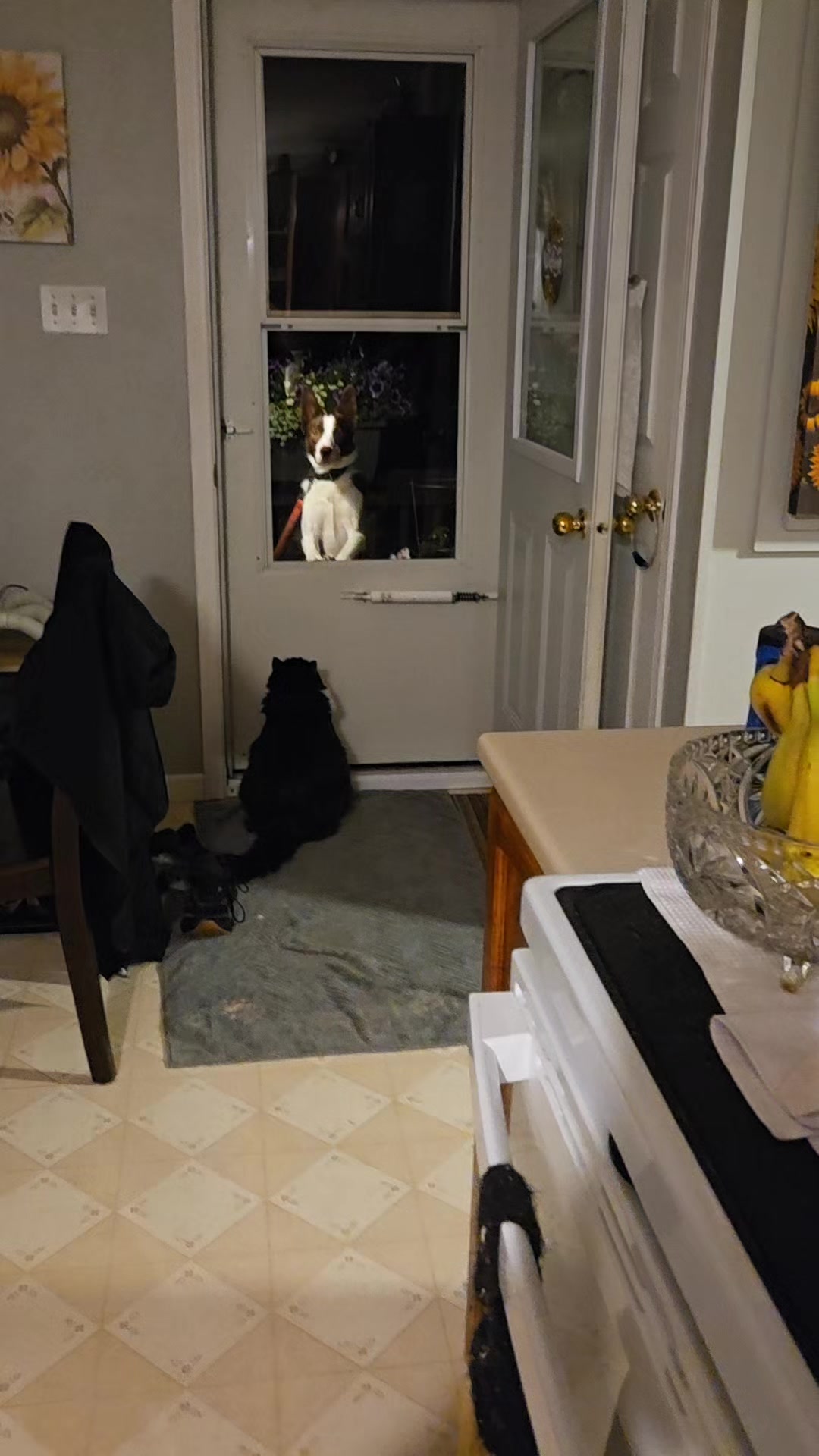 @Brittany and the dogs
