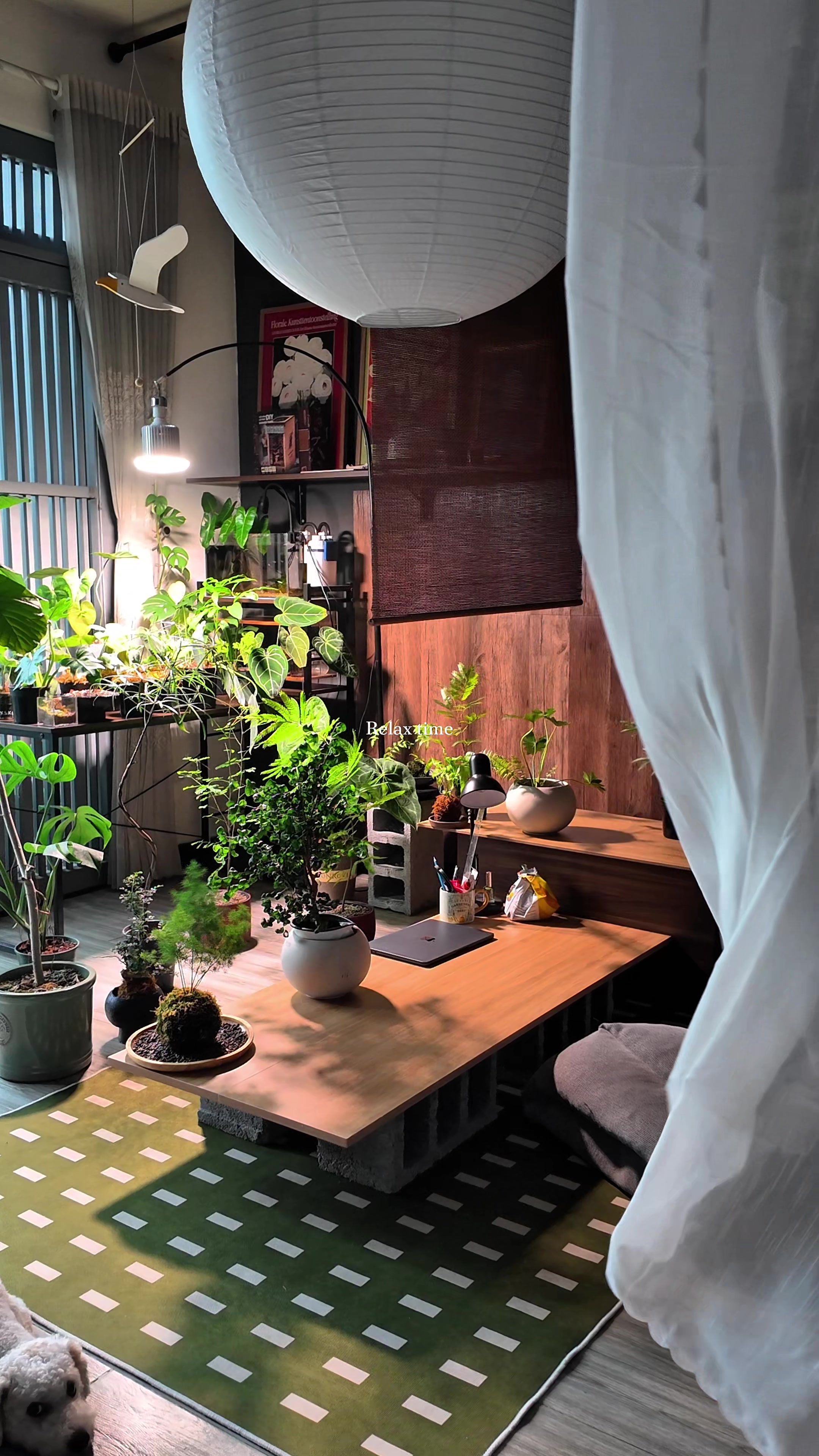 @Bảo tàng lá