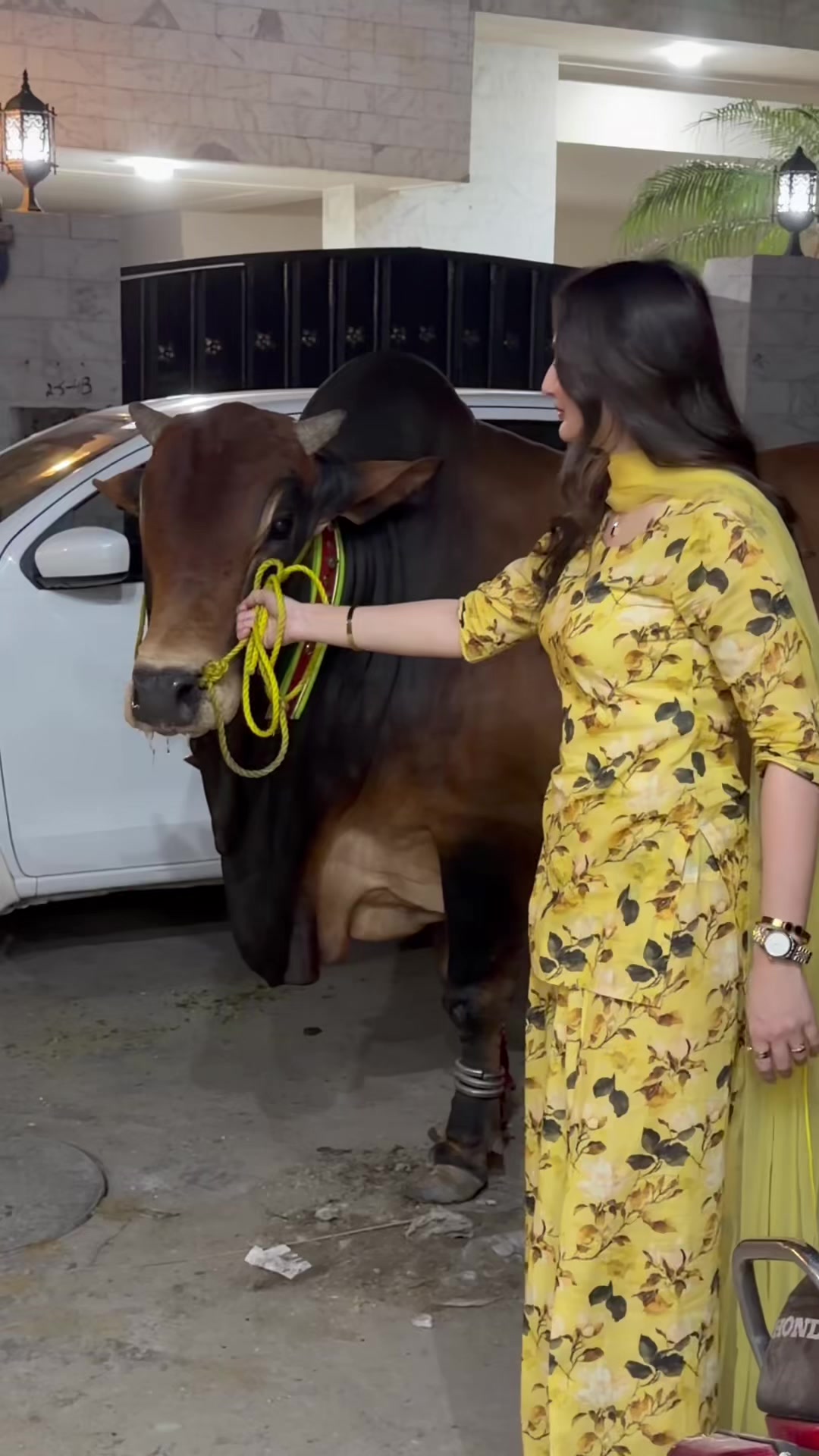 @Zarnab Khan Swati