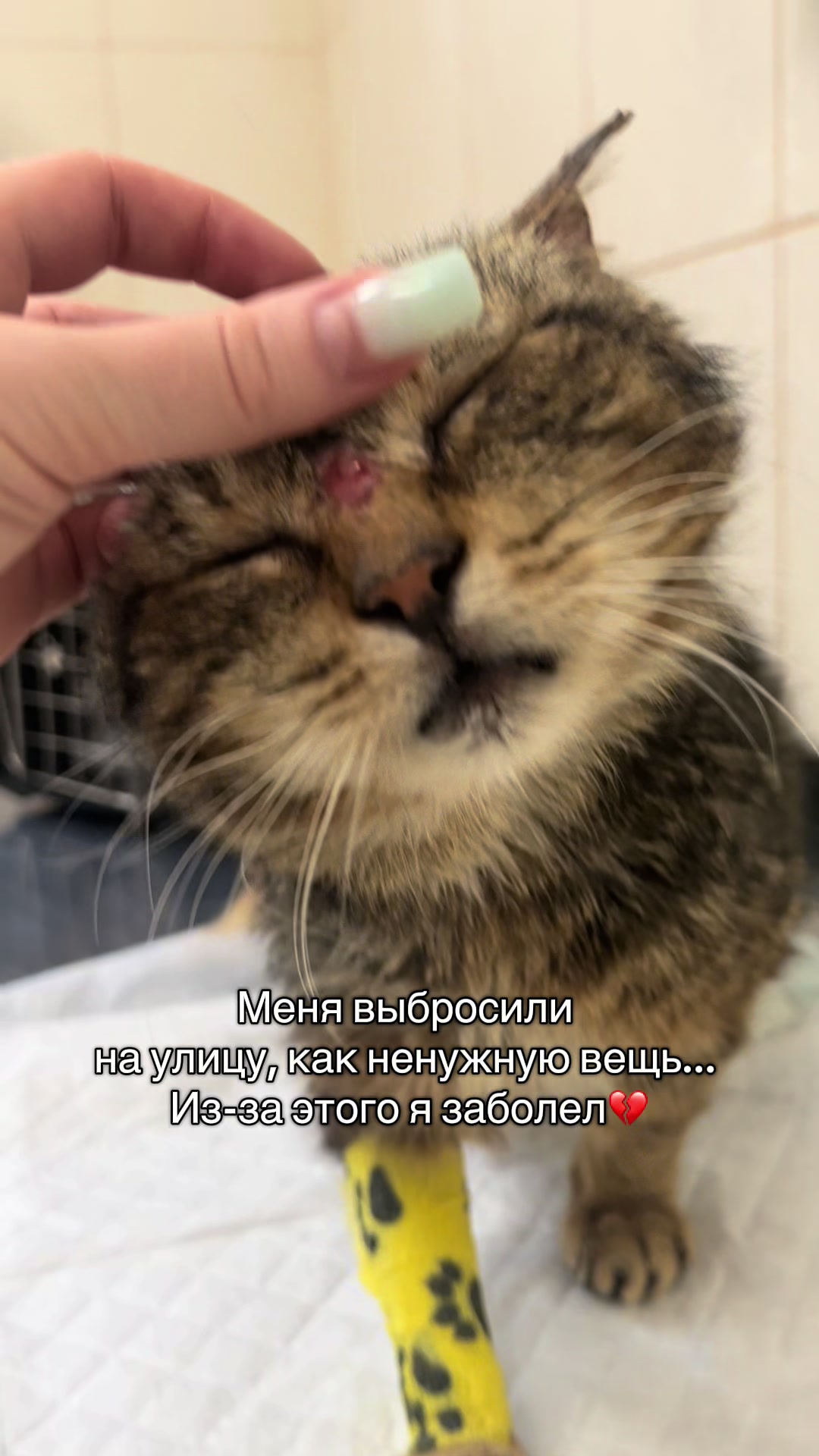 @Оля & Co🐈⬛🐈