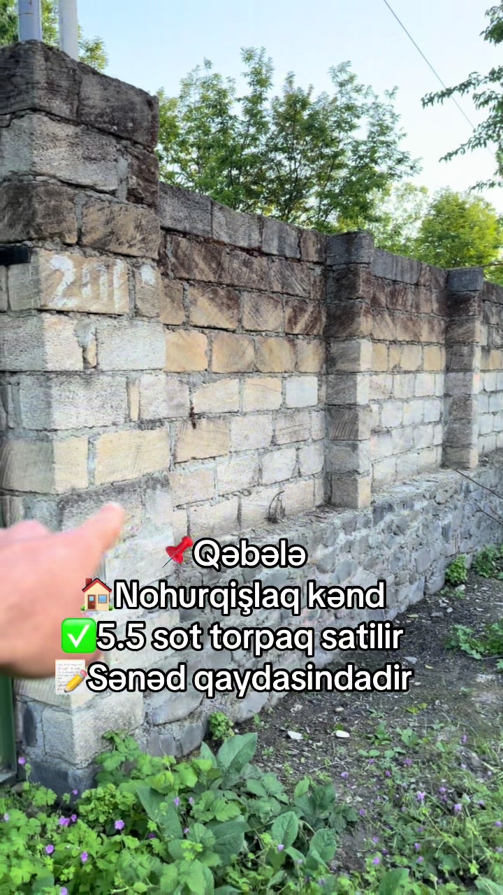 @Qəbələ Əmlak Ruzi