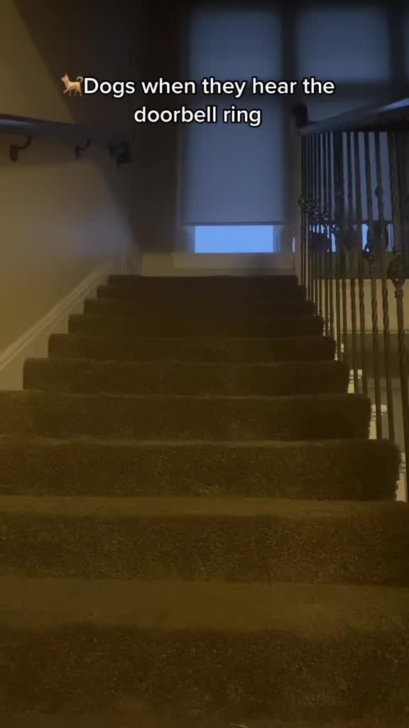 @blackforceace0
