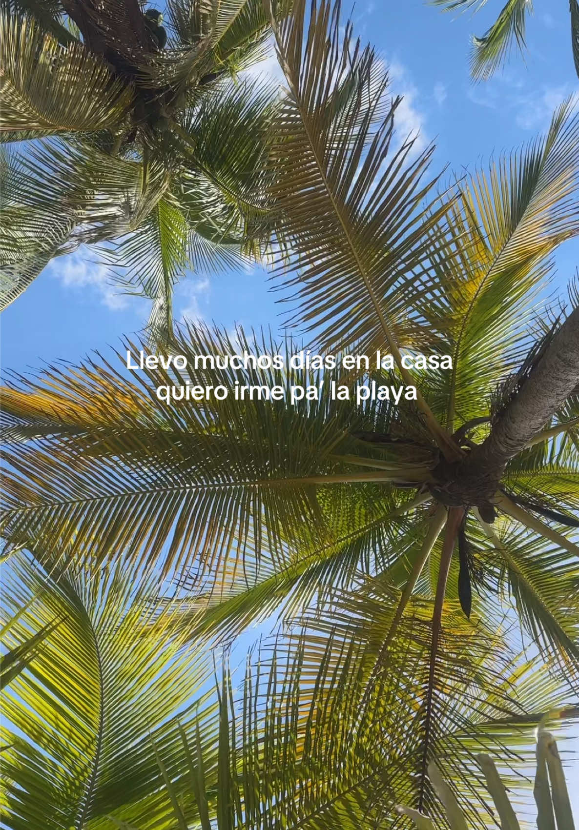 @Xime Quesada