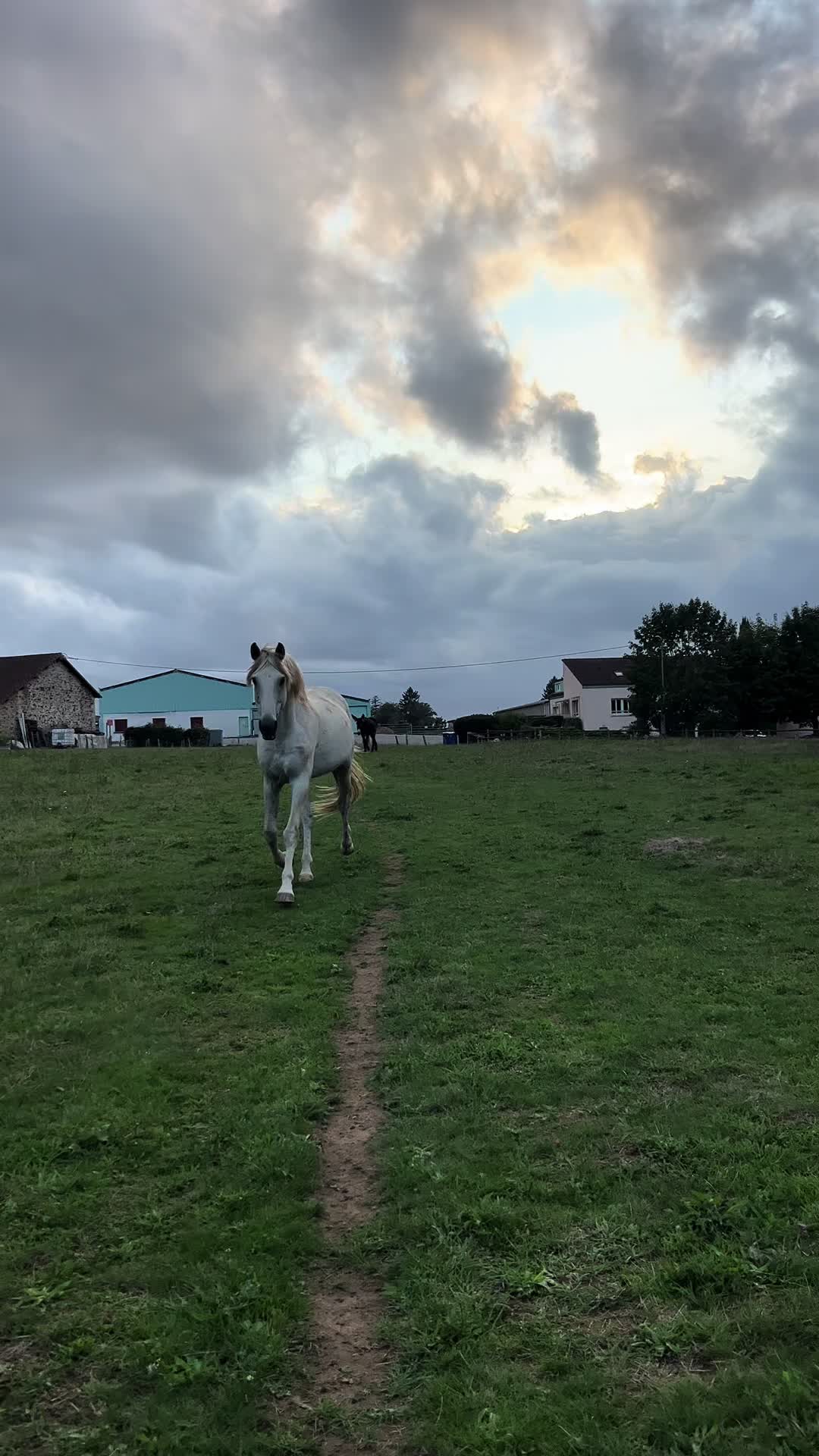 @L&eacute;a 🌾