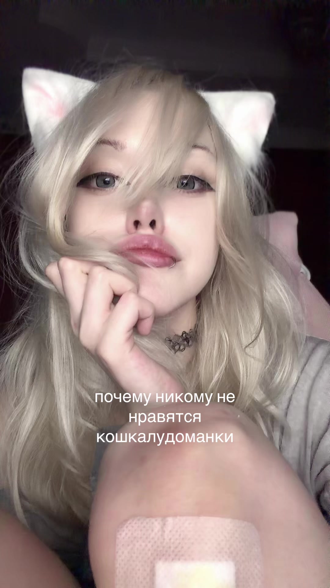 @тгк лупикс