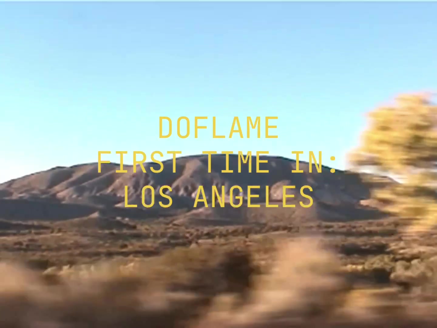 @Doflame