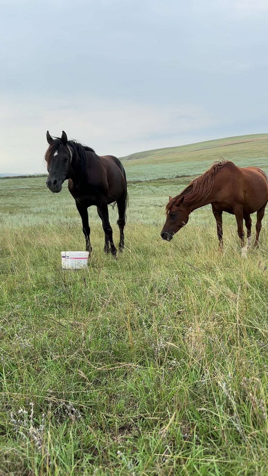 @MakvinStud