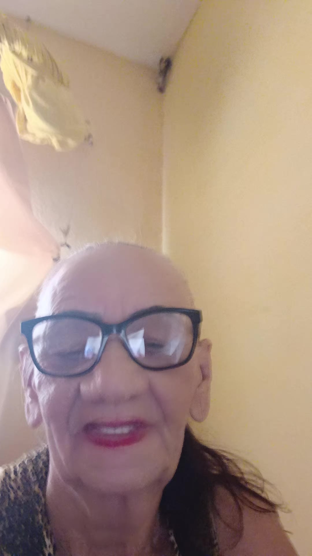 @dilzarodrigues657