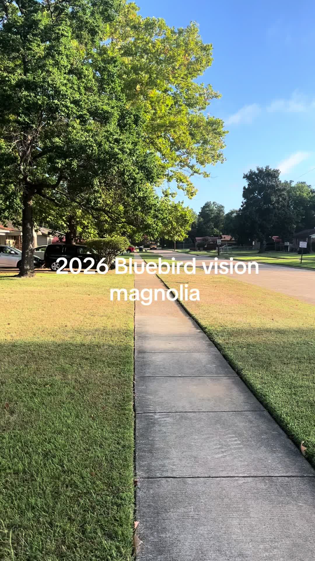@Bluebirdbus302