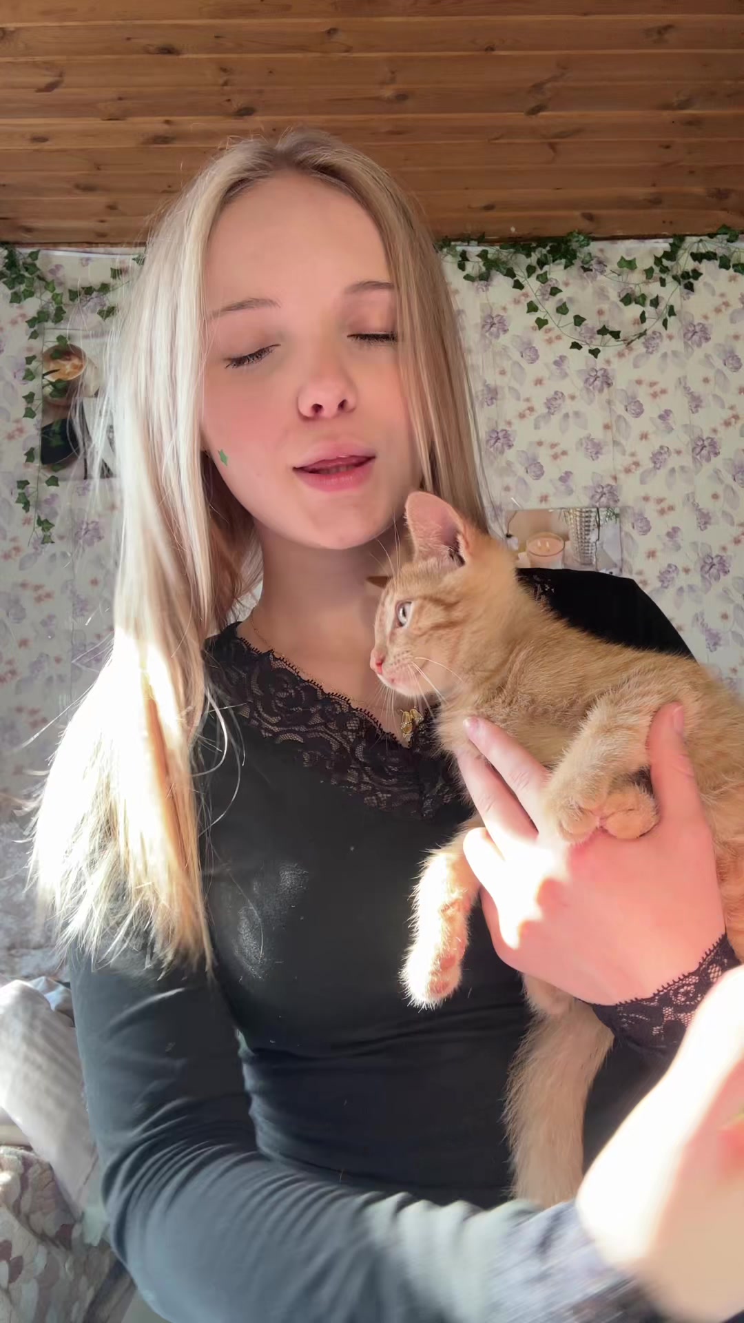 @Дашеке