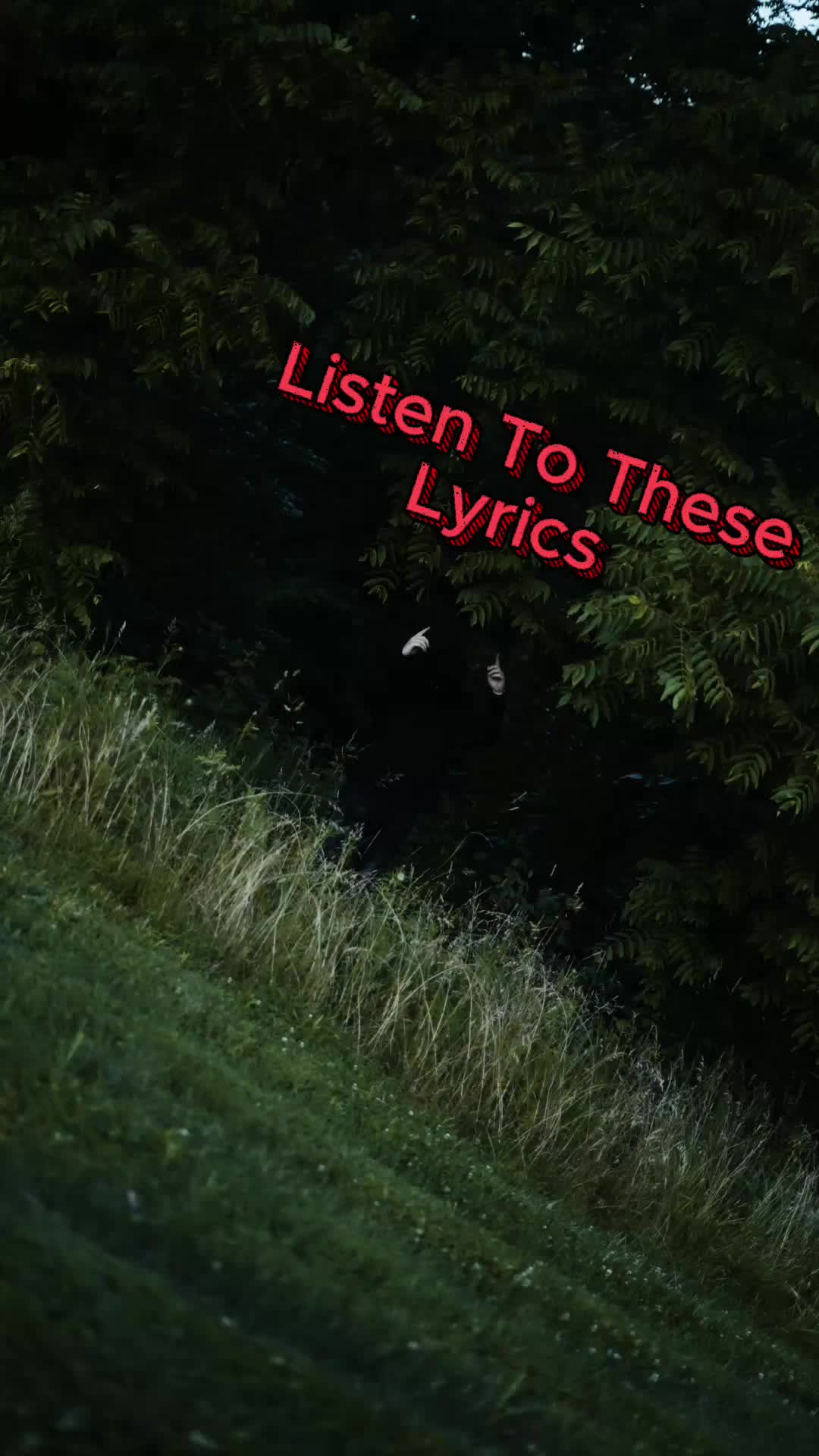 @Coleman Lane