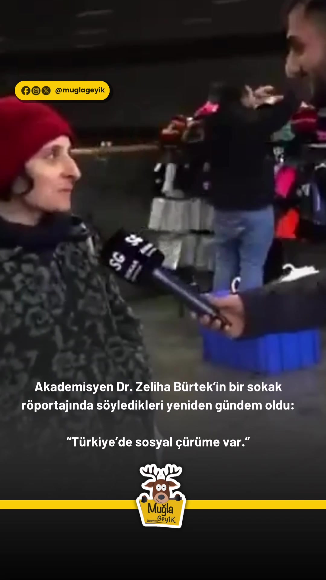 @Muğla Geyik