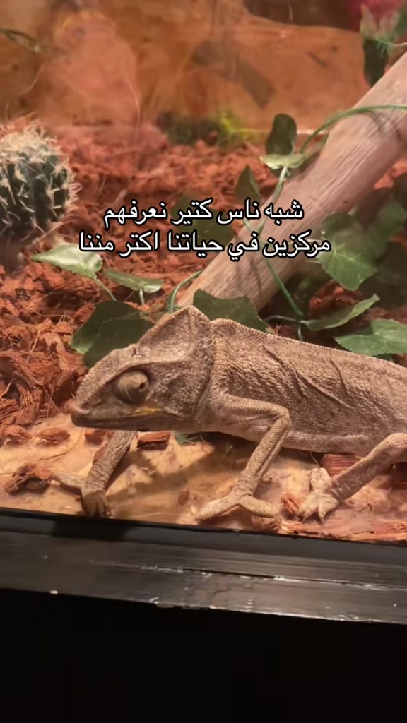 @ᏰᏗᏕᎷᏗ | بسمه 🧜🏻♀️🐚