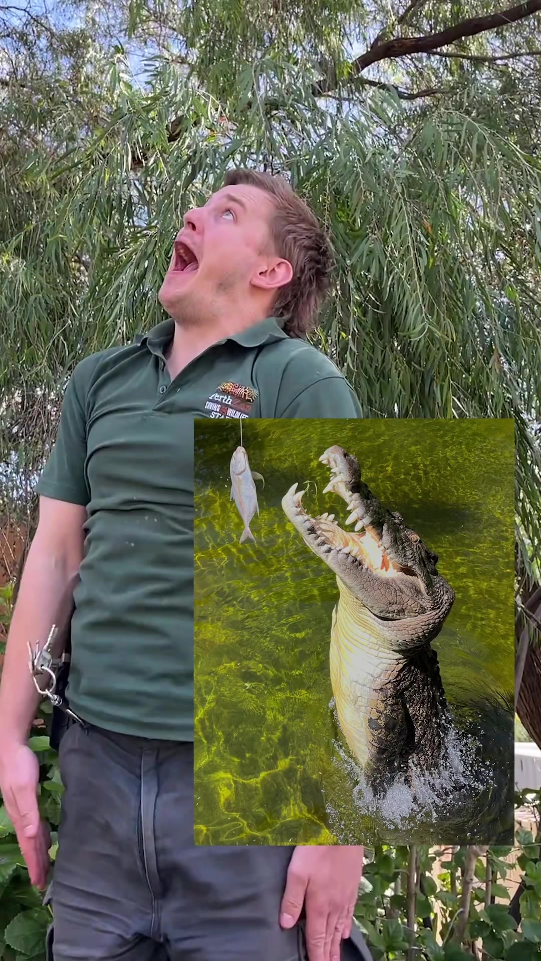 @Perth Zoo