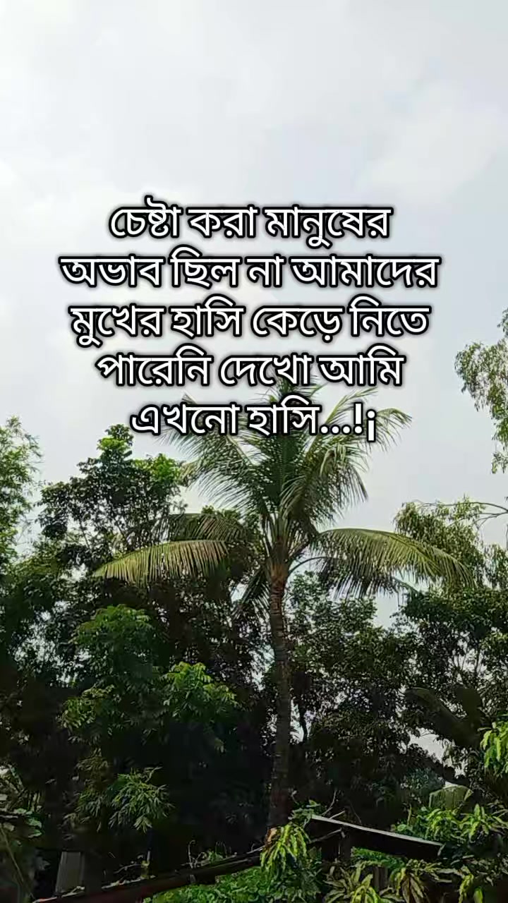 @✈️ প্রবাসীর বউ ✈️
