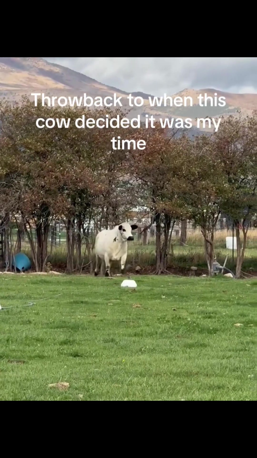 @4✰ Duke