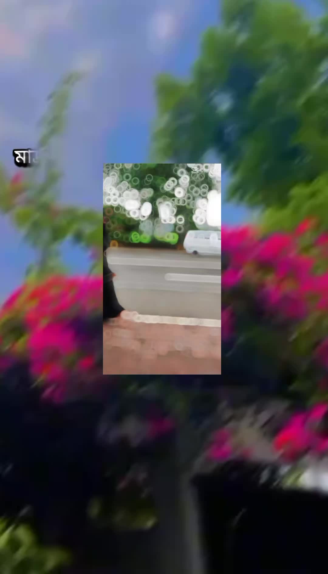 @🦋🍁★ইসলামের সেহেজাদী★🍁🦋