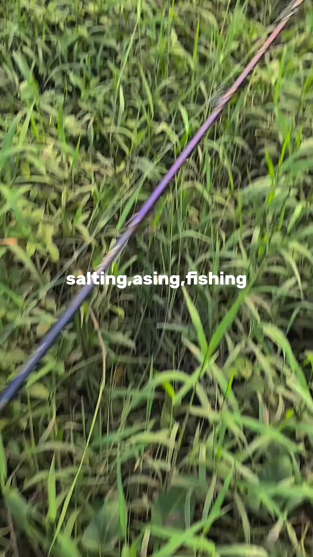 @Helltonnn
