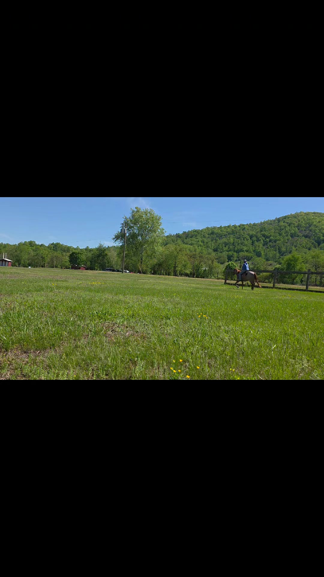 @CircleHEquineSalesLLC