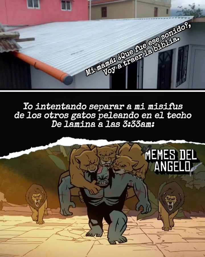 @🦖Memes_Del_Angelo🦖
