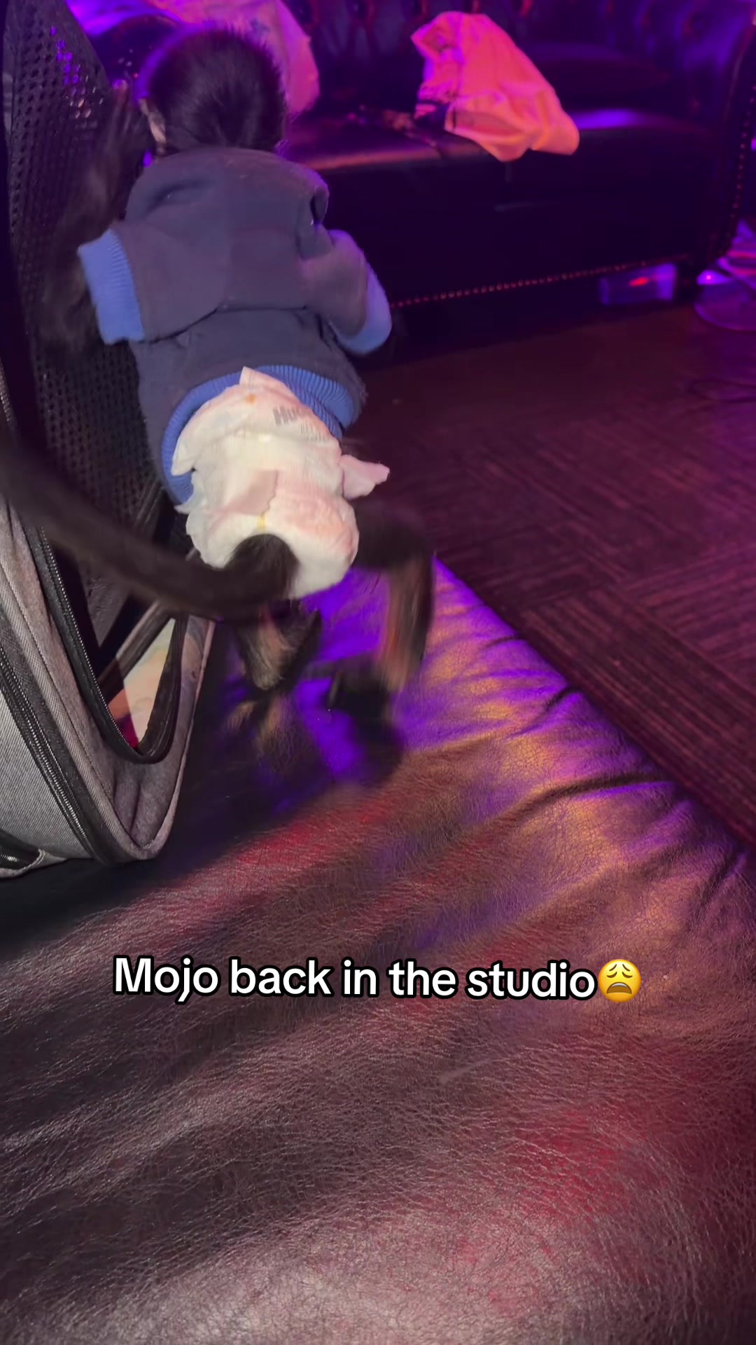 @OJTV & Mojo Jojo🧡