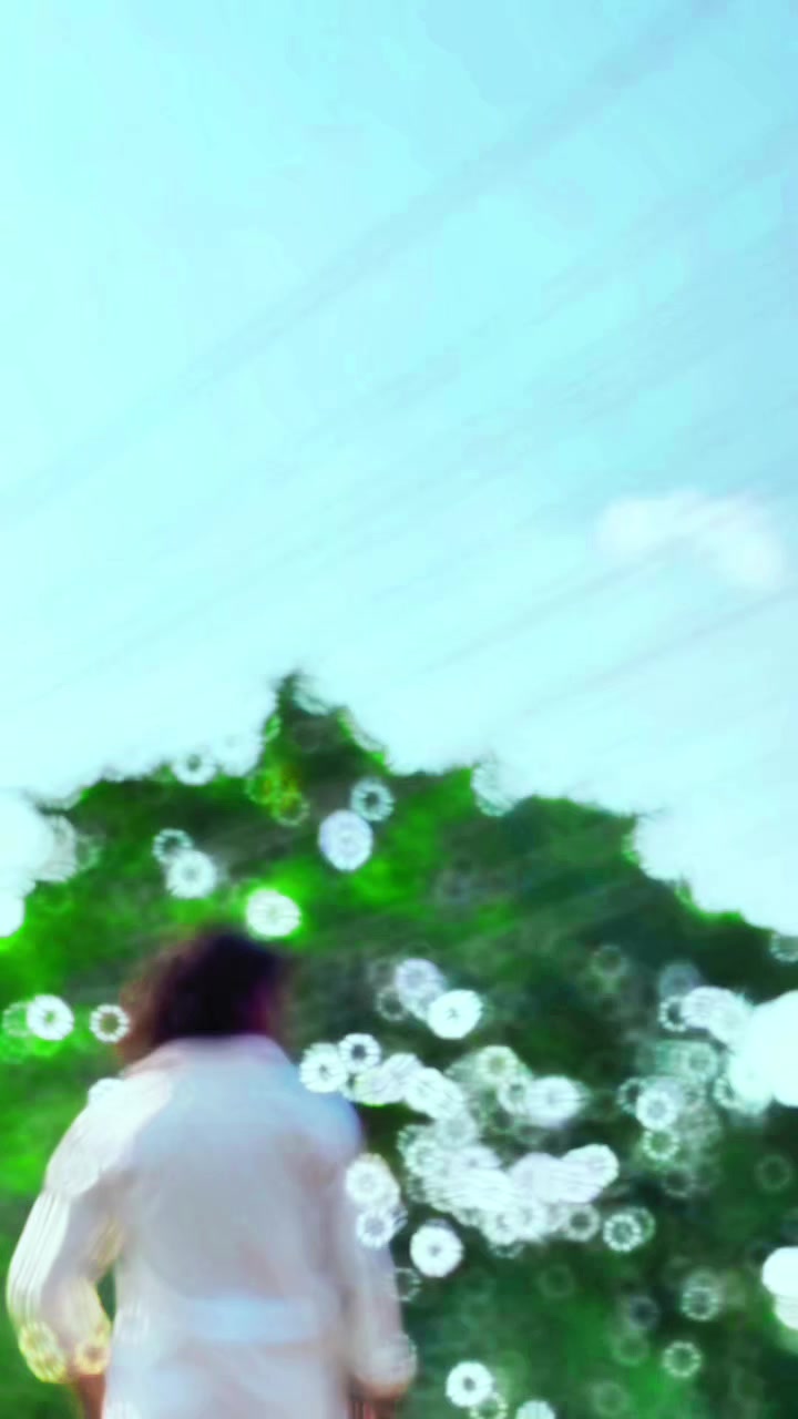 @S A M E E R A L I 7 8 6