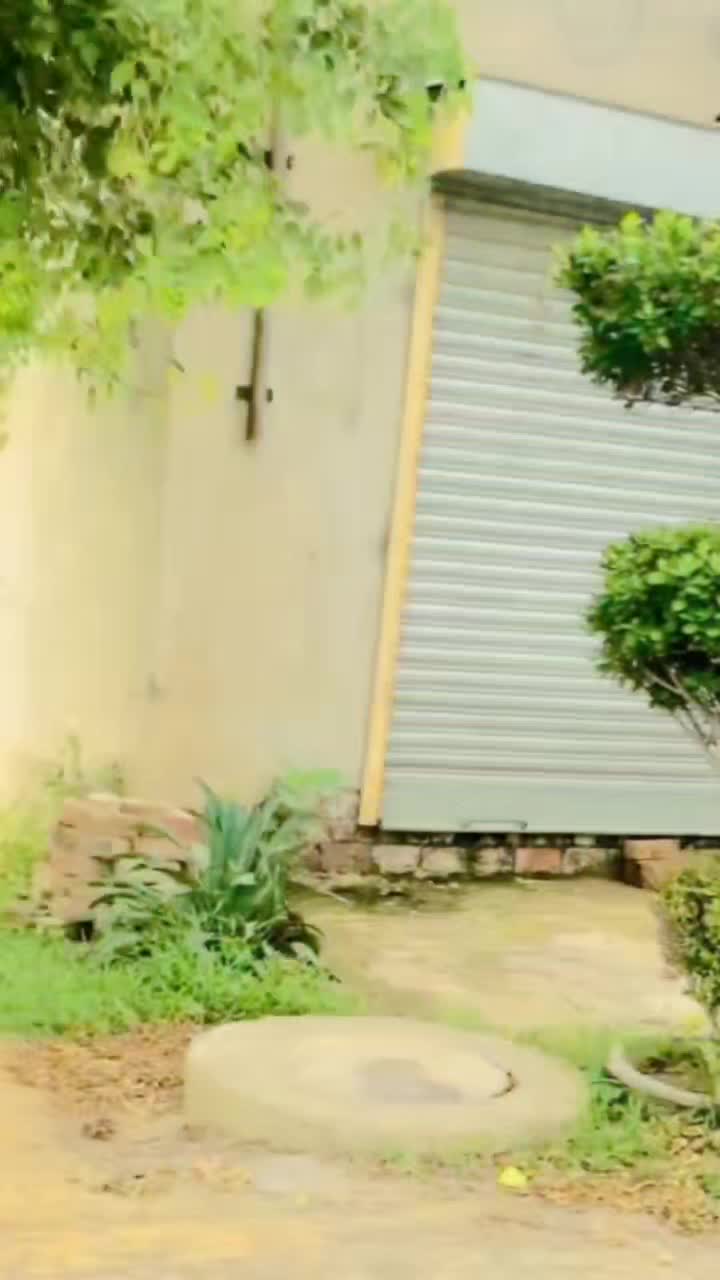 @چوہدری عفان 🤍